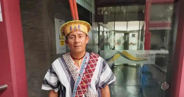 Comunidades asháninkas demandan acción del Estado ante minería ilegal - Perú