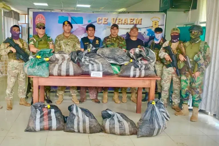 Decomisan más de 200 kilos de cocaína en Ayacucho - Perú