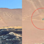 Persona ingresó y daño el Candelabro de Paracas