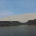 Provocaron incendio en la Laguna Morón de Pisco: Bomberos trabajaron más de siete horas