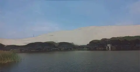 Provocaron incendio en la Laguna Morón de Pisco: Bomberos trabajaron más de siete horas