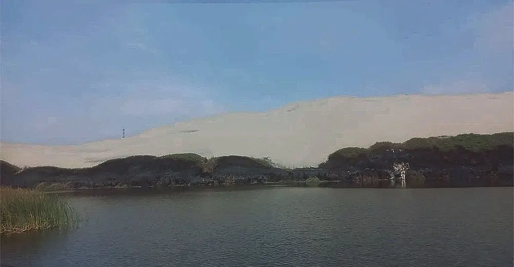 Provocaron incendio en la Laguna Morón de Pisco: Bomberos trabajaron más de siete horas