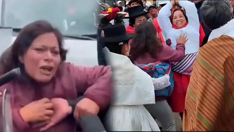 Ruth Bárcena ya no será investigada por “jalonear el cabello” a Dina Boluarte - Perú