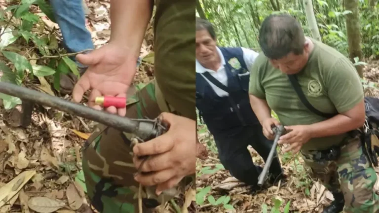 Tingo María: Descubren trampero de caza en área protegida - Perú