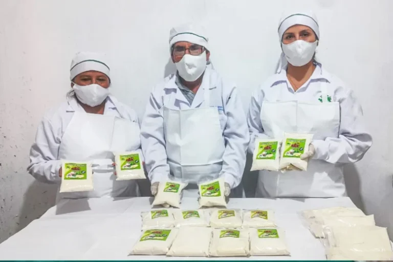 Ucayali: Asociación destaca con elaboración harina de plátano - Perú