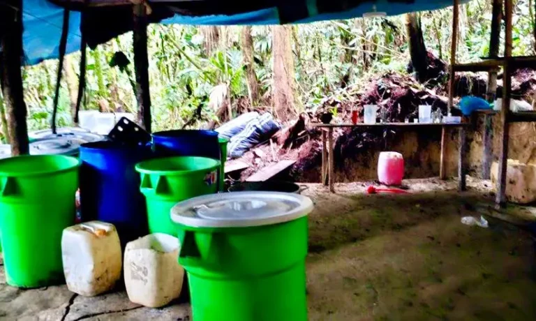 Cusco: Desmantelan megalaboratorio de drogas en La Convención - Perú