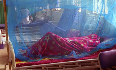 Reportan dos fallecidos por dengue en Ica ¿Qué distritos registran más casos?