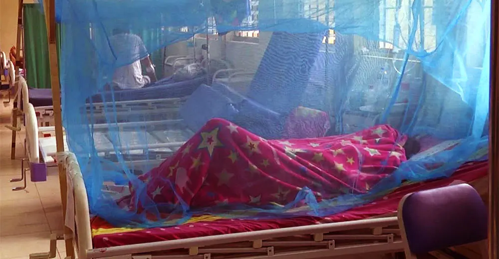 Reportan dos fallecidos por dengue en Ica ¿Qué distritos registran más casos?