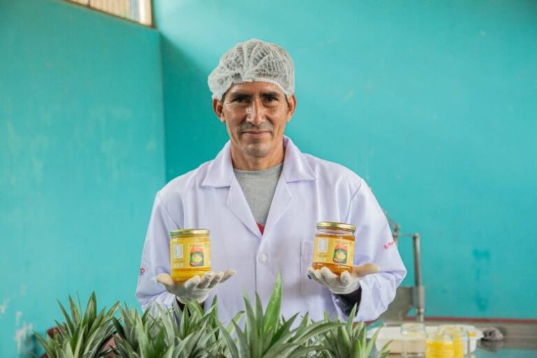 Ucayali: Asociación impulsa el crecimiento de la piña golden en la región - Perú