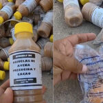 Ica: Arrojan alimentos de Qali Warma a la basura en vez de dárselos a los niños