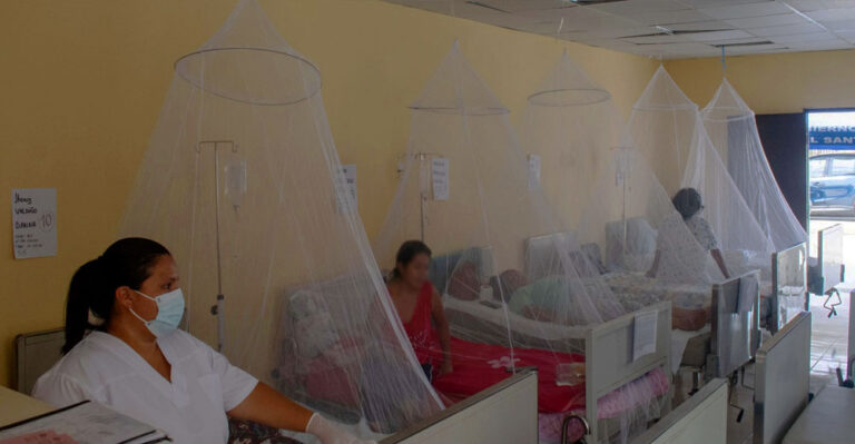 Ica registra más de 13 mil casos de dengue y 18 fallecidos - Ica