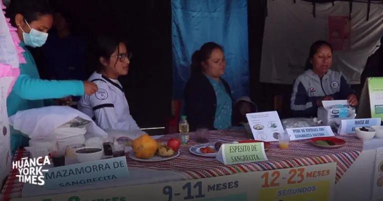 Huancayo: Municipalidad de El Tambo recibirá S/ 1 millón por trabajar en la reducción de la anemia - Perú
