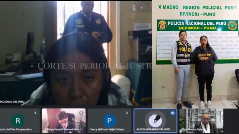 Puno: dictan 9 meses de prisión preventiva para madrastra que habría ocasionado la muerte de un niño de 5 años - Perú