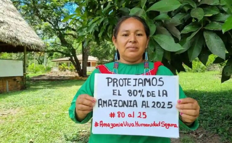 Amazonía: piden que bancos detengan financiamiento de la extracción de petróleo y gas en bosques amazónicos - Perú