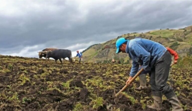 Firmarán adenda para la explotación de roca fosfórica en Piura que impulsará la producción local de fertilizantes - Perú