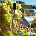 Plantean eliminar pago del impuesto selectivo a los que producen piscos y vinos