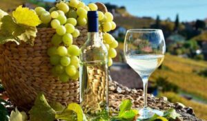 Plantean eliminar pago del impuesto selectivo a los que producen piscos y vinos