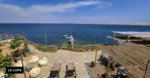 Alertan construcción un hotel de lujo en zona protegida de la Reserva Nacional de Paracas