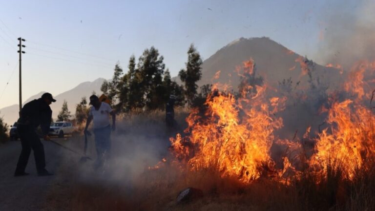 Incendios forestales en Arequipa: Agosto registra pico histórico con 22 emergencias y acumulado de 54 siniestros en el 2024 - Perú