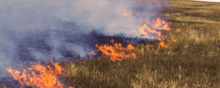 Cambio climático y malas prácticas agrícolas intensifican los incendios forestales - Perú