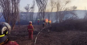Dos incendios forestales ponen en alerta a la región Ica