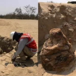 Hallan en Ica momias en fardos funerarios de más de 200 años escondidas en Huacachina Seca