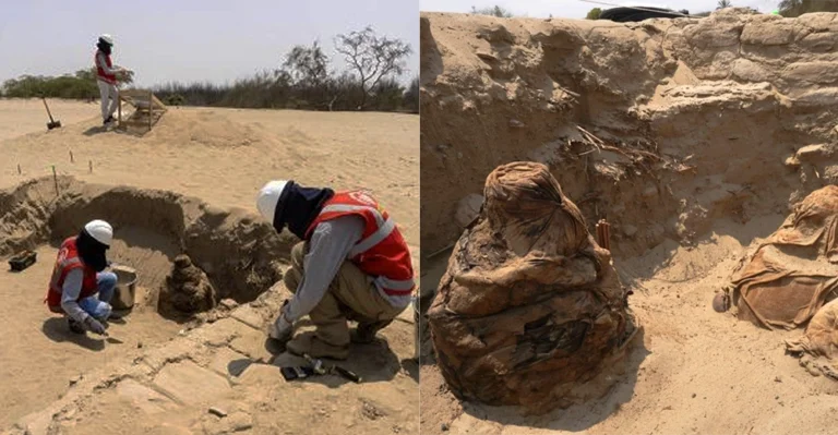 Hallan en Ica momias en fardos funerarios de más de 800 años escondidas en Huacachina Seca - Cultura