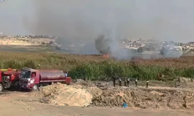 Incendio forestal arrasa con 200 hectáreas de totora en Pisco