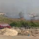 Incendio forestal arrasa con 200 hectáreas de totora en Pisco