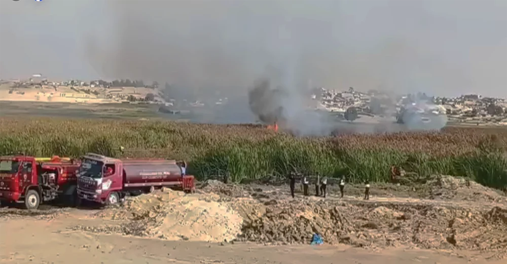 Incendio forestal arrasa con 200 hectáreas de totora en Pisco