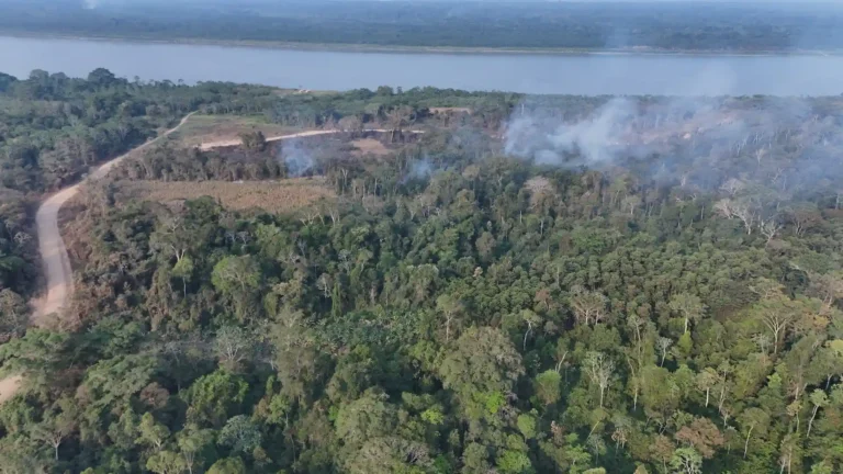 Incendios forestales en la Amazonía alcanzaron récord en 2024 - Perú