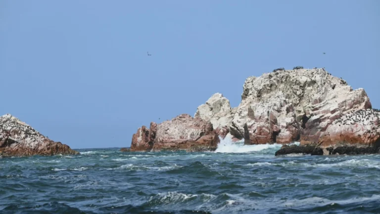 Ica: Inauguran puesto de vigilancia en las Islas Ballestas para reforzar su protección - Perú