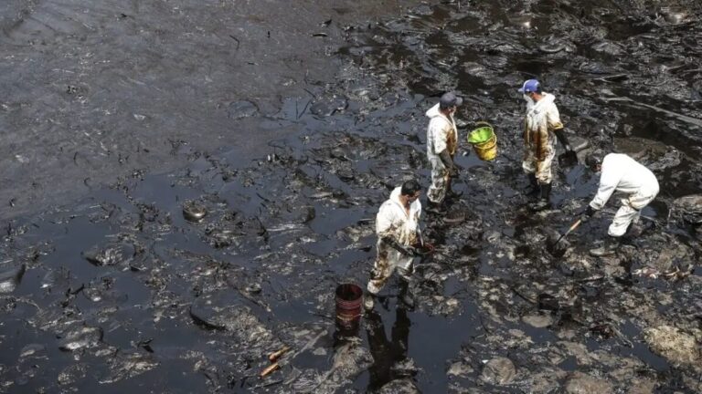 Comisión de Justicia aprueba la tipificación del ecocidio en el Código Penal - Perú