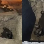 Chincha: conductor grave tras caer a un forado de obra no señalizada de Semapach