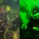 Declaran Patrimonio Cultural de la Nación buques que se hundieron en el mar de Ica, Perú hace dos siglos