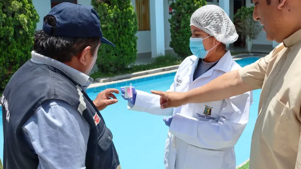 Ica: advierten que el 70% de piscinas de la región son insalubres