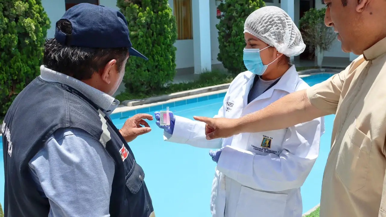 Ica: advierten que el 70% de piscinas de la región son insalubres