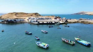 Ica: anuncian construcción de los desembarcaderos de Lagunillas y Tambo de Mora