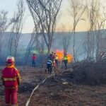 Reportan más de 500 focos de calor en todo el Perú: las regiones críticas están en Ica y Loreto