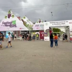 ¿Una declaratoria de emergencia en Ica podría suspender la Vendimia 2025?