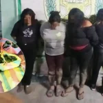 Ica: caen “Las Palteras de San Francisco”, banda de mujeres que robaba paltas en chacras