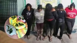 Ica: caen “Las Palteras de San Francisco”, banda de mujeres que robaba paltas en chacras