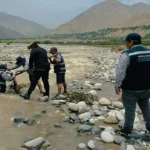 Ica: detectan pesca ilegal de camarones en plena veda en el Río San Juan de Chincha