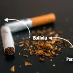 La ruta del contrabando: cigarrillos de Bolivia y Paraguay ingresan vía Puno, Arequipa, Ica y Lima
