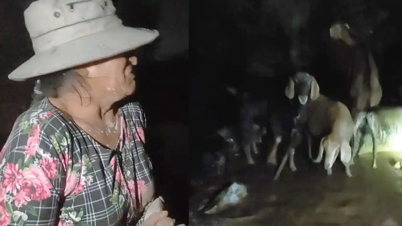 Nasca: huaico se llevó animales y destruyó viviendas, damnificados piden ayuda