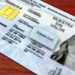 Plantean eliminar el divorcio y la viudez del DNI: Todos volverían a ser solteros