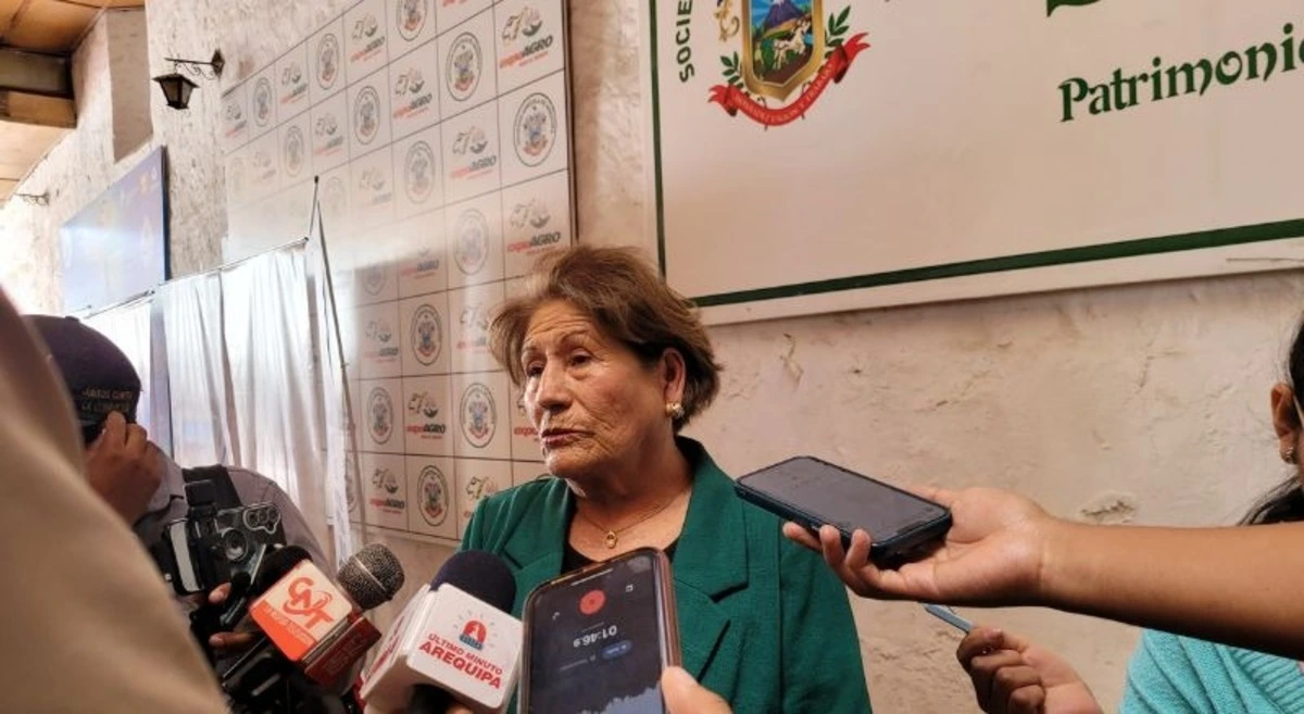 Arequipa: La precariedad en la que viven 60 asentamientos humanos del tradicional distrito de Characato - Perú