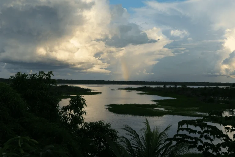 Abren fondo de $1,5 millones para proyectos que impulsen la conservación en la Amazonía - Perú