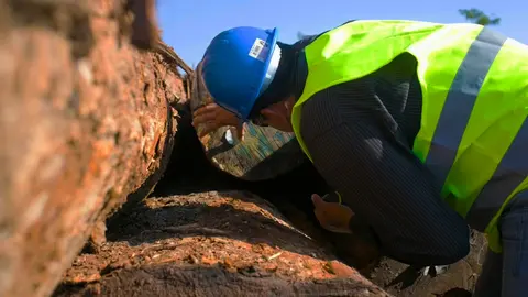 Estado comprará madera y castaña amazónica a comunidades para cuidar los bosques