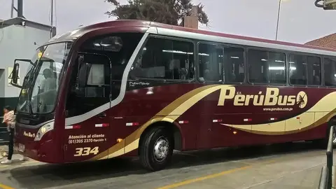 Ica: Fiscalía acusa a inspector de Perú Bus por discriminar a pasajero con síndrome de Down